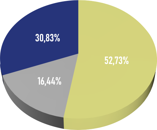 Actionnariat & Répartition du Capital
